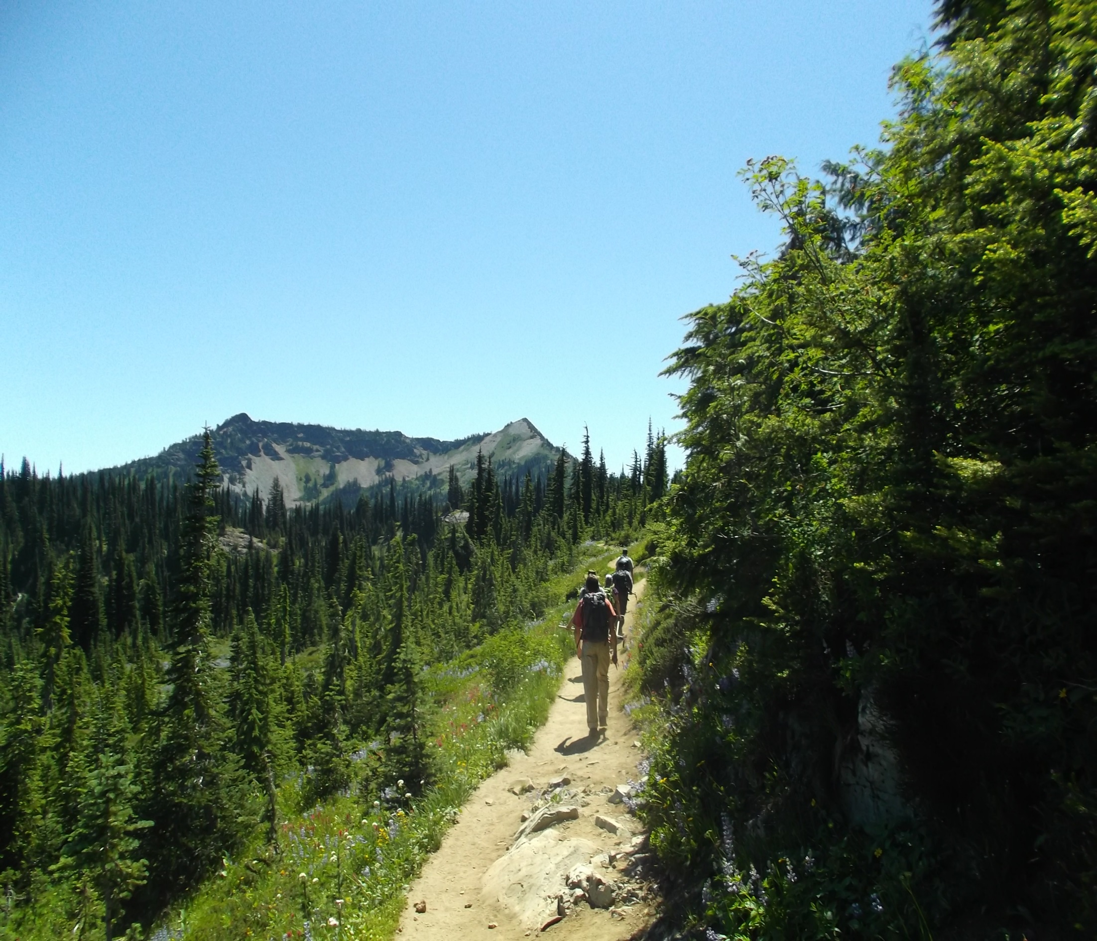 Washington State Trails Coalition