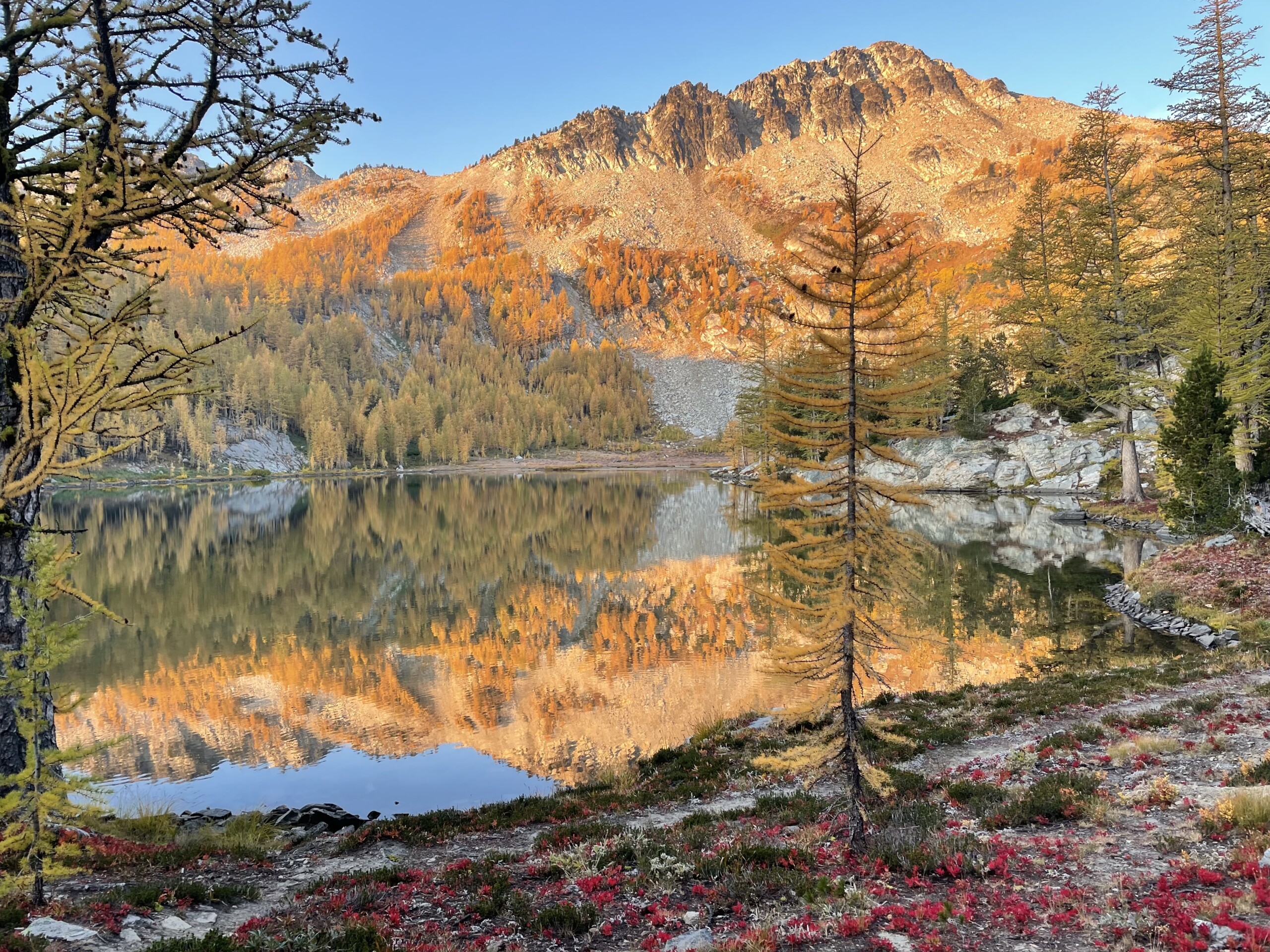 A view over a calm lake in the mountains. It is surrounded by golden larches.